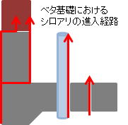 パフォームガードと防蟻気密シール材